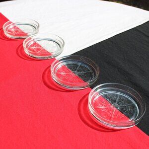 Florentine 2 Coaster Set